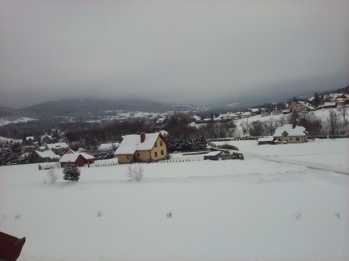 Pokoje Panorama Wysowa-Zdrój Exterior foto